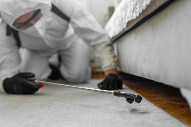 Professional Rodent Control technician working in Morocco, IN