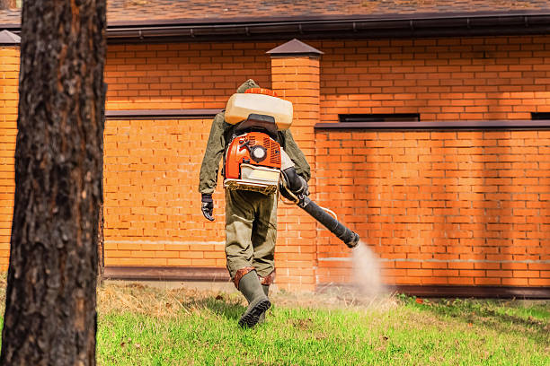 Trusted Emergency Pest Control service in Morocco, IN - Nex Pest Control